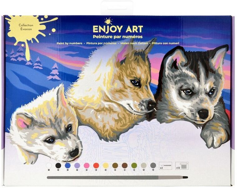 ENJOY ART - Peinture par numéros 40x30cm Dans le Grand Nord