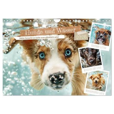 Hunde und Wasser (Wandkalender 2026 DIN A4 quer), CALVENDO Monatskalender
