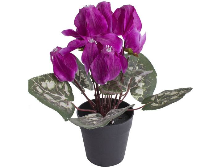 Kunstblume BOTANIC-HAUS Alpenveilchen , bunt (beauty), B:20cm H:24cm T:20cm Ø:20cm, Kunststoff, Kunstpflanzen, Kunstblume