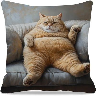 Perfect Picks Market Cute Cartoon Cat Pillow Cover For Sofa Decor Cozy Cat Lover Cushion Case 2