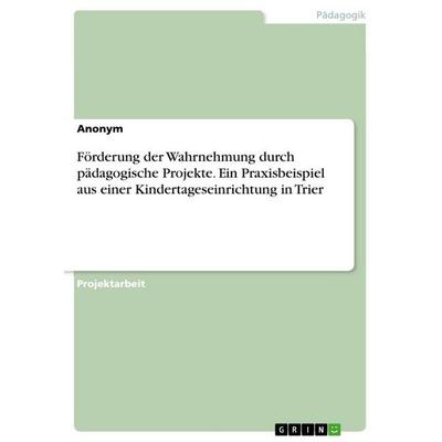 Förderung der Wahrnehmung durch pädagogische Projekte. Ein Praxisbeispiel aus einer Kindertageseinrichtung in Trier, Taschenbuch von Anonymous, GRIN,