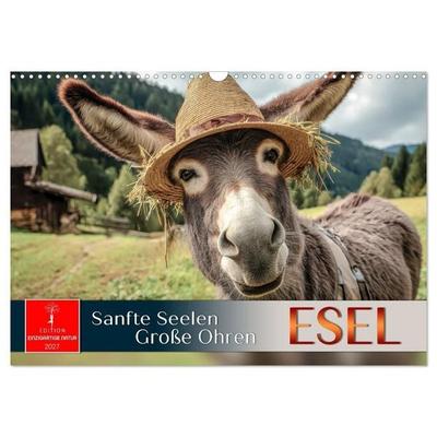 Esel - sanfte Seelen, große Ohren (Wandkalender 2027 DIN A3 quer), CALVENDO Monatskalender