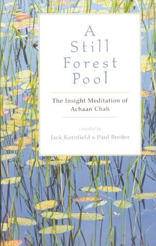 Paul Kornfield - A Still Forest Pool: The Insight Meditation of Achaan Chah (Quest Book) - Preis vom 11.10.2026 03:10:56 h