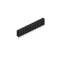 Fischer Elektronik Buchsenleiste (Standard) Anzahl Reihen: 1 10026944 10 St.