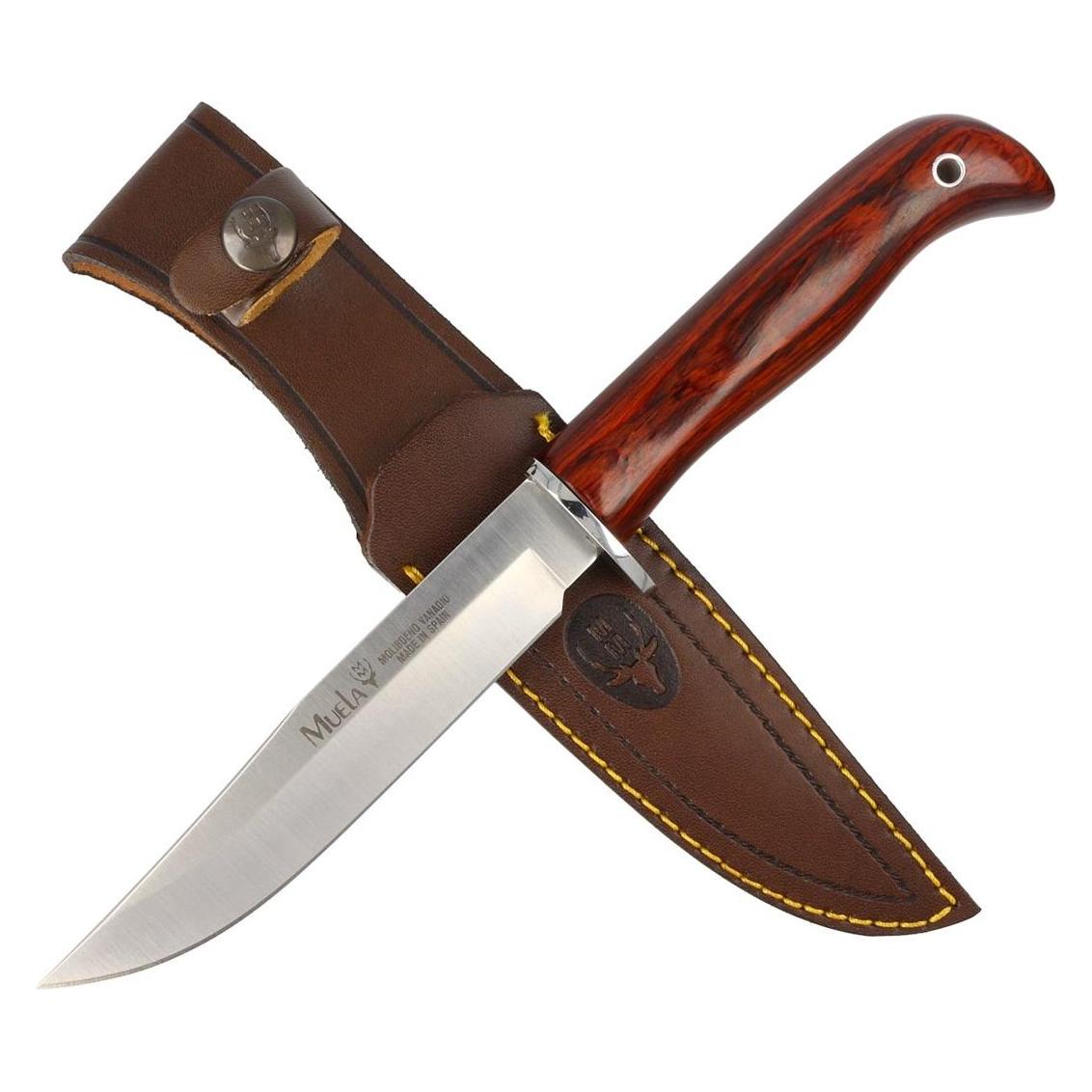 Muela Messer Gred (34803880)