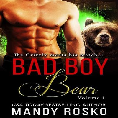 Bad Boy Bear - Mandy Rosko, Audio, 9781945213502