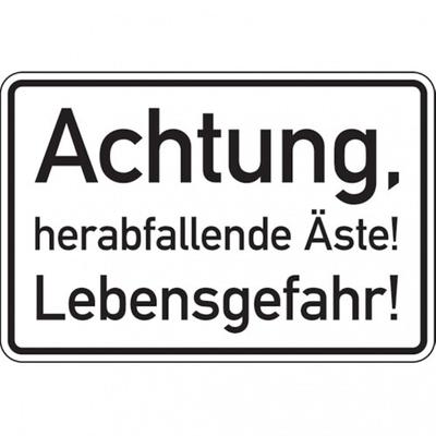 König Werbeanlagen Dreifke® Hinweisschild, Achtung, herabfallende Äste!, 300 x 20 - 300x200x2 mm Aluverbund