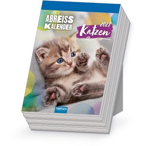 Trötsch Abreißkalender 2027912, Katzen, Jahr 2027, 1 Tag auf 1 Seite, 12 x 17 cm