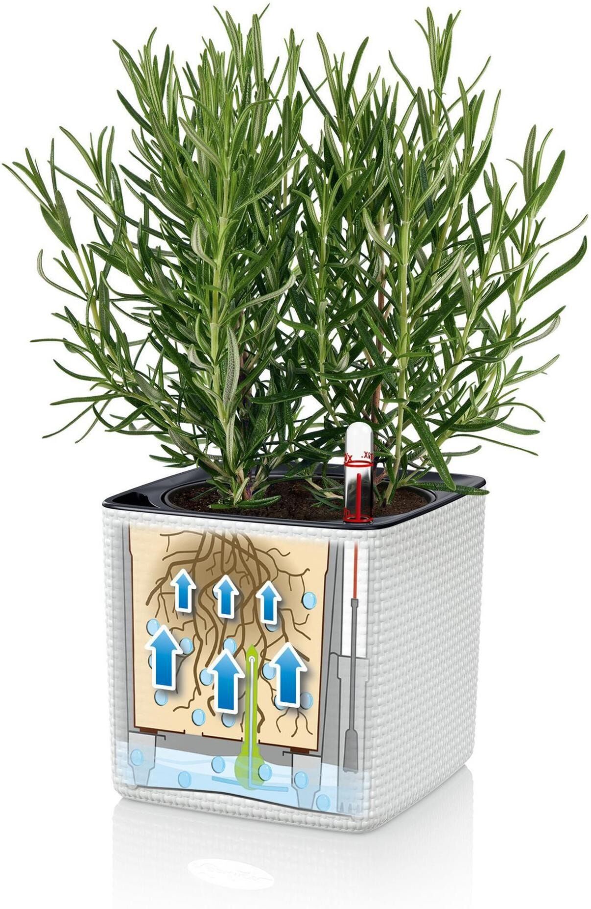 Übertopf "Green Wall Home Kit CO Weiss", weiss (weiß), Pflanzgefässe, Übertopf weiß Einheitsgröße