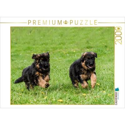 CALVENDO Puzzle Lauf um die Wette | 2000 Teile Lege-Größe 90x67cm Foto-Puzzle für glückliche Stunden