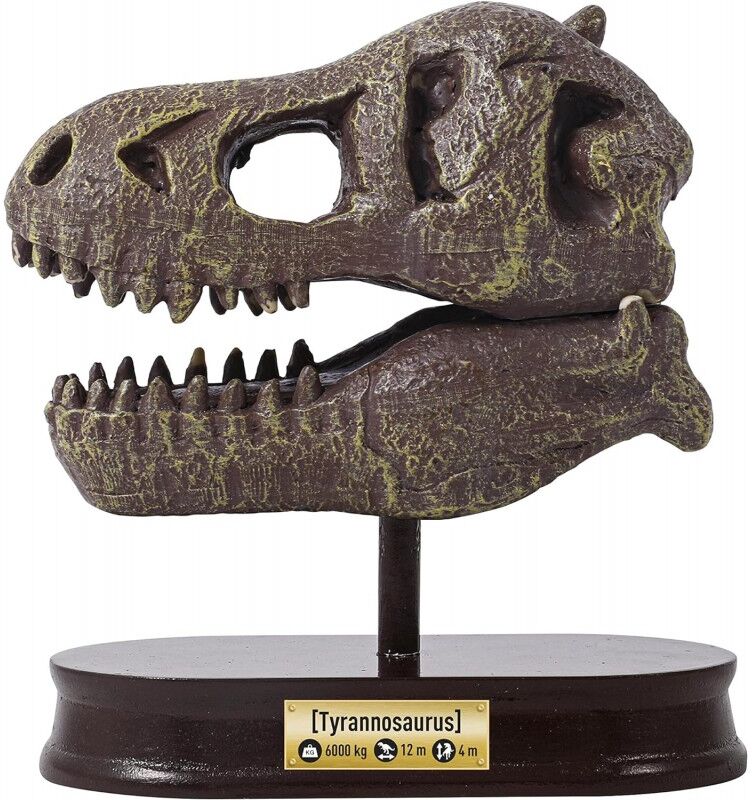 Buki France T-Rex Museum Skull - Buki