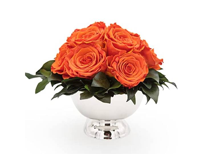ROSEMARIE SCHULZ Heidelberg Infinity Blume in silberfarbenen Becher ewige Rose konserviert Blumenstrauß langhaltend (Orange, 11 Rosen)