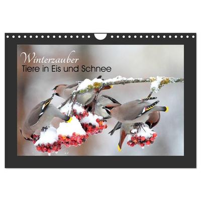 Winterzauber - Tiere in Eis und Schnee (Wandkalender 2026 DIN A4 quer), CALVENDO Monatskalender