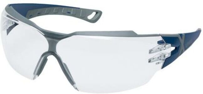 uvex Lunettes à branches uvex pheos cx2, UV400 incolore supravision excellence bleu/gris (9198257)