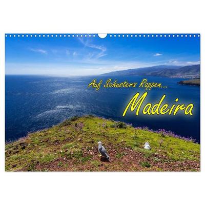 Auf Schusters Rappen... Madeira (Wandkalender 2027 DIN A3 quer), CALVENDO Monatskalender