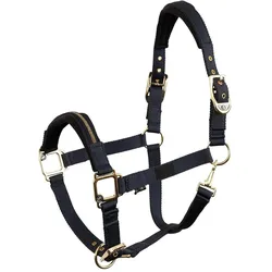 BR Equestrian Equipment, Halfter