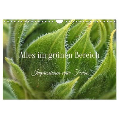 Alles im grünen Bereich (Wandkalender 2027 DIN A4 quer), CALVENDO Monatskalender