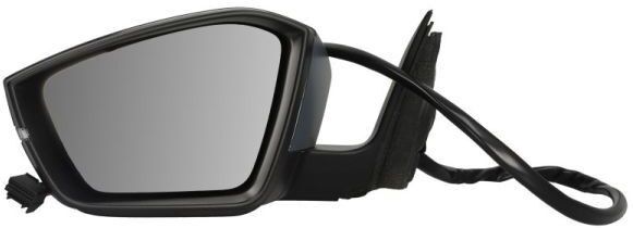 BLIC 5402-43-1319316P Wing mirror