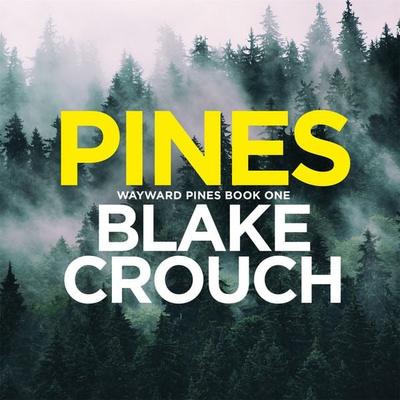 Pines - Blake Crouch, Audio, 9781529099812