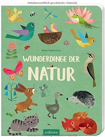 Britta Teckentrup - Wunderdinge der Natur - Preis vom 09.10.2026 07:28:09 h
