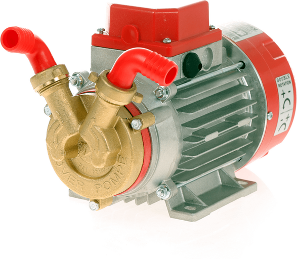 Rover Pompe Rover Marina 20 - Pompe électrique de transfert en bronze - 24 V