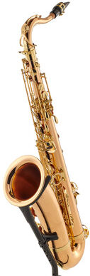 Yanagisawa T-WO2 Tenor Sax