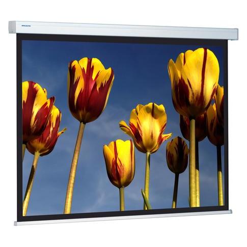 Projecta Compact Electrol 156x156 MW 1:1 (1:1) (10100070)
