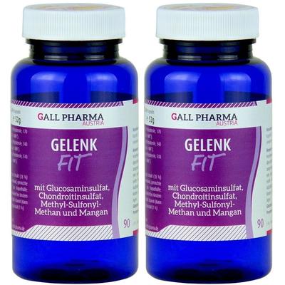 Gelenk-Fit GPH Kapseln 2x 2x90 St