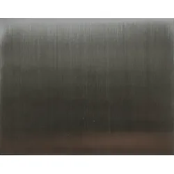 DoorBird Gravierbare Edelstahlblende für D2101FPBX