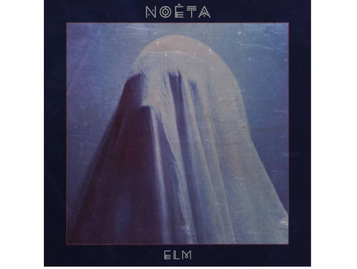 Elm
