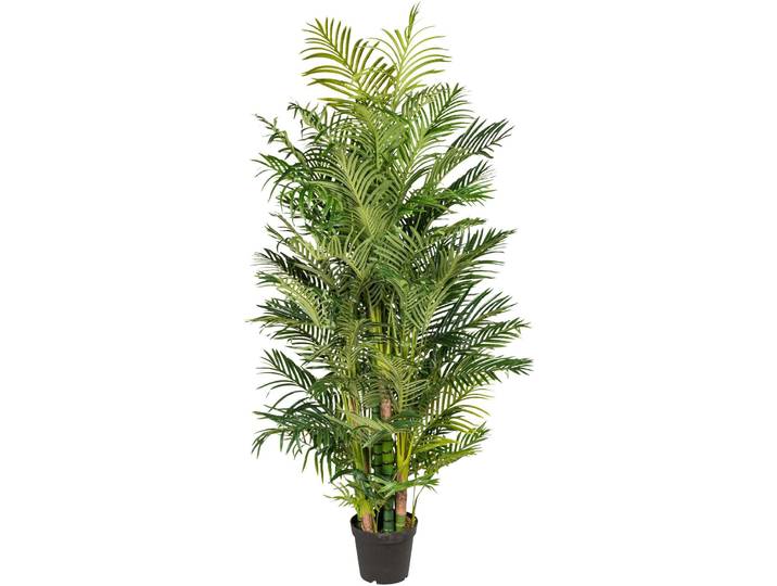 Kunstpalme CREATIV GREEN Arecapalme , grün, H:220cm, Kunststoff, Kunstpflanzen, Kunstpalme