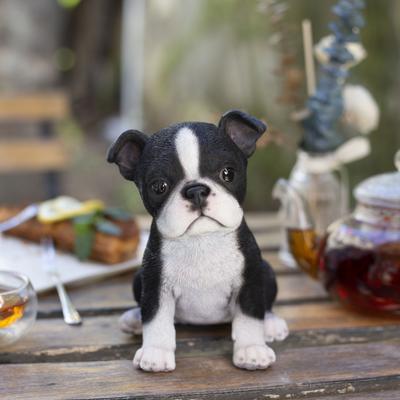 Hi-Line SoReal White & Black Boston Terrier