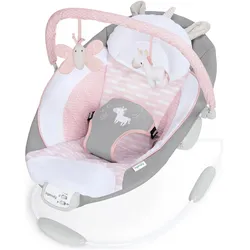 Ingenuity, Babywippe, Flora the Unicorn