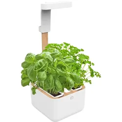 Véritable, Blumentopf, Botaneo Eylo (17.40 x 18.40 x 46 cm)