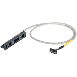 WAGO GmbH &amp; Co. KG Systemleitung 706-2300/300-1000