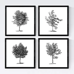 POSTER Set mit 4 Blättern der Grove, weiß 20x20cm Rahmenlos