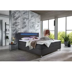 meise.möbel Polsterbett Candela 180 x 200 cm Stoff Grau Anthrazit