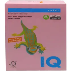IdealQuality Color Papier A4 Pastellrosa