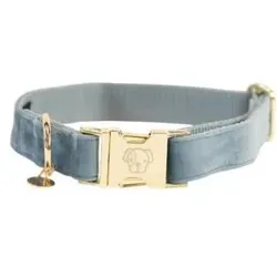 Kentucky Dogwear Hundehalsband Kentucky Velvet (Hund, Spazieren), Halsband + Leine
