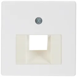 Berker 146809 Z-Platte UAE 1fach CT pw