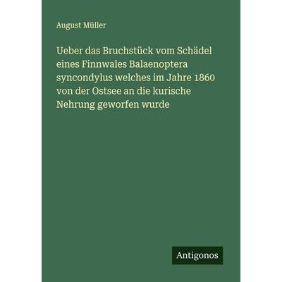 Ueber das Bruchstück vom Schädel eines Finnwales Balaenoptera syncondylus welches im Jahre 1860 von der Ostsee an die kurische Nehrung geworfen wurde,