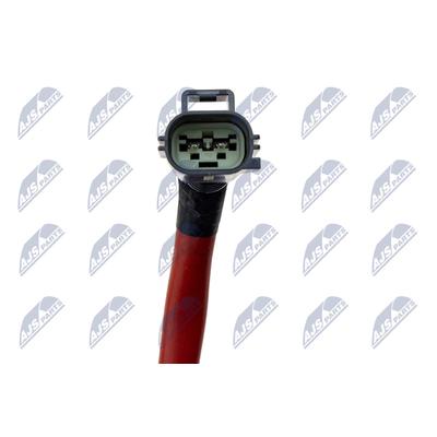NTY Einspritzeinheit, Ruß-/Partikelfilterregeneration BWP-FR-010 für Ford