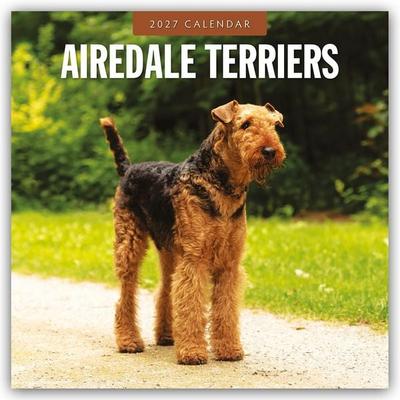 Airdale Terriers – Airdale Terrier 2027 – 16-Monatskalender