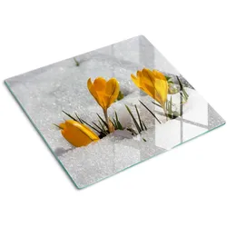 GLASPLATTE 60x52 cm Krokusse im Schnee