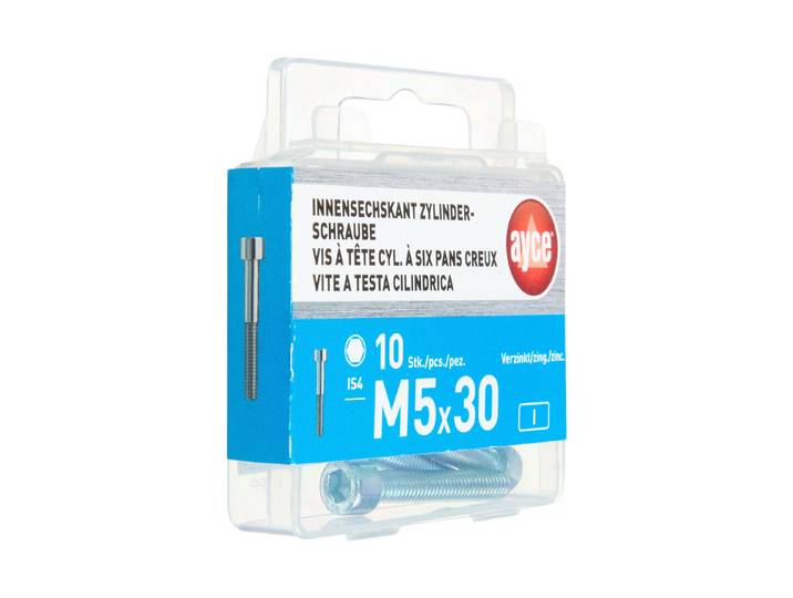 Ayce Innensechskant-Zylinderschraube M5 × 30 mm