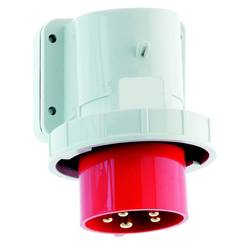 Bals Elektrotechnik 24416 24416 CEE Anbaustecker 16.0 A 5polig 400 V 1 St.