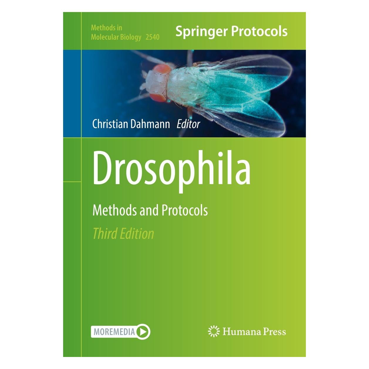 Springer Drosophila (Englisch, Hardcover, Christian Dahmann) (9781071625408)