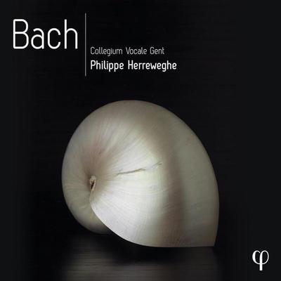 Bach - Philippe Herreweghe,Collegium Vocale Gent, CD