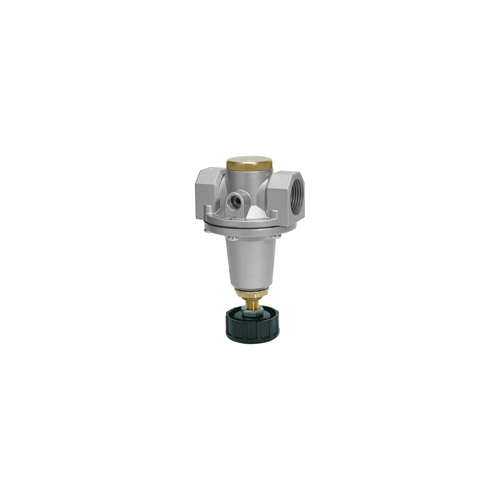 Riegler Druckregler Schalttafeleinbau »Standard«, BG 3, G 1, 0,1 - 3 bar (637.543 A)