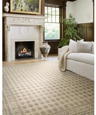 Nabela Noor Home x Livabliss Alo Traditional Area Rug